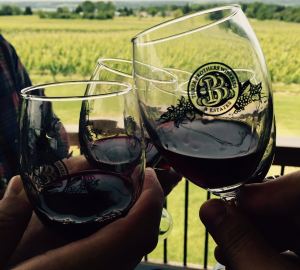 WINESTOCK AND FINGER LAKES WINE TOUR